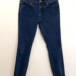 Loft ANN TAYLOR Outlet Modern Skinny Dark Wash Cotton Blend Jeans PETITE 4 / 4P Photo 0