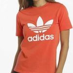 Adidas NWT  Originals Trefoil Tee Photo 0