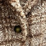 Blue B Collection Plaid Fur Coat Brown Photo 5