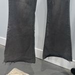 Cello Gray Flared Jeans Photo 2