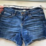 Refuge Wave Custom Painted Shorts size 2 EUC Photo 2