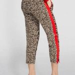 Joe Benbasset Joe B by  Cheetah Print Cropped Pants with Red Stripe Photo 0