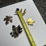 Autumn / Fall Brooch Pin Lot Of 4 Leaf Leaves Variety Photo 8