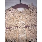 Paper Dolls  Dress US 4 EU 36 UK 8 Black Cream Crocheted Lace Short Sleeve NEW Photo 10