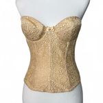 Victoria's Secret Fairy Costume Photo 4