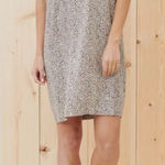 Jenni Kayne  Leopard Print T-Shirt Dress - size medium Photo 0