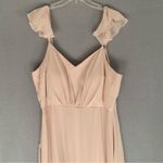 Birdy Grey  Doris Chiffon Dress Pale Blush Maxi Gown Size 3XL Formal Photo 4