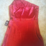 EXPRESS  DRESS Photo 2