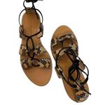 Club Monaco Thiais Tan Black Snakeskin Leather Lace Tie Sandals Sz 8 Wo… Photo 0