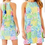 Lilly Pulitzer 100% Pima Cotton Dress in Margo Cheek to Cheek Small Photo 13