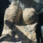 Terry Costa Long Formal Prom Dress Photo 3