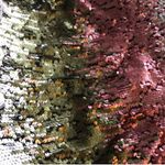 Elizabeth and James NWT  sequins dress Photo 7