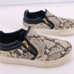 Ash Jordy Snake-Print Leather Sneaker Side Zipper Roccia & Black Size 40 US 10 Photo 1