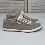 TAOS Women's "Star" Canvas Sneaker Grey Wash Photo 1