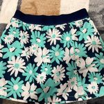 DSG Golf Skirt Photo 0