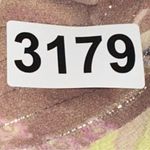 Rebecca Taylor Sz 6 8 Pale Yellow Floral Print Silk Chiffon Open Back Midi Dress Photo 9