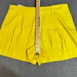 Alice + Olivia Conry Pleated Linen Blend Shorts Photo 14