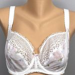 Freya Daydreaming Aa400802 Underwire Plunge Bra US Size 30H UK 30FF White Floral Photo 0