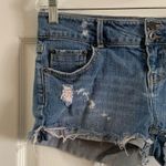 Blue Asphalt Blue Distressed Denim Shorts size 9 Photo 4
