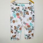 st. john's bay  Tropical Print‎ Capri Pants Size 14 Photo 5