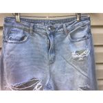 American Eagle  Mom Jean Blue Denim Size 10 Regular  Jeans‎ Distressed Photo 1
