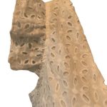 Zaful White Eyelet Crop Top XL Plunging Neck Tied Back Feminine Flutter Sleeve Photo 2