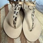 Sophia Milano  Flat Thong Sandals Animal Print Size 8.5 Italy Leather Ankle Strap Photo 10