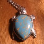 Mojave Blue Turquoise Copper Turtle Pendant Stainless Steel Necklace Photo 7