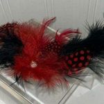 Feather black & red Hair Photo 0