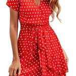 Amazon Red Polka Dot Dress Photo 0