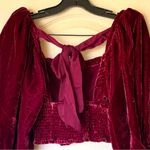 Free People Marie Velvet Open Back Crop Top Balloon Sleeves Red Small NWT Photo 6