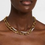Alexis Bittar New  Gold and Silver Chain Necklace Photo 3