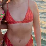 Skatie Zebra bikini Photo 0