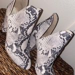 Steve Madden Snakeskin Ankle Booties Photo 0