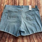 Levi Strauss & CO. Signature Levi Strauss Women Super Stretch High Rise 5” Inseam Shorts Plus Size 28 Photo 1