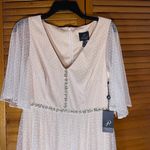 Adrianna Papell By Anthropologie Rivoli Tulle Blush Rose Gown Sz 10 NWT Photo 2