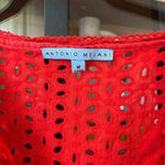 Antonio Melani Crochet coverup dress  lace vneck long sleeve embroidered eyelet Photo 2