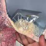 Urban Outfitters  Photo 5