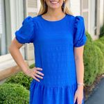 TCEC  Balloon Sleeve Textured Dress Photo 0