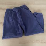 Aritzia  Cozy Fleece Joggers purple  Photo 3