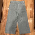 Madewell  Emmett wide leg crop pant 30 Photo 3