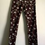 Anthropologie  Else Floral Corduroy Pants Sz 27 Long Photo 0
