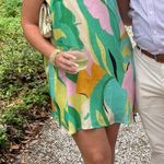 Impeccable Pig Dress  Photo 1