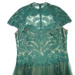 Tadashi Shoji NWT TOO Goldeneye Gown in Cedar Nude Tulle Mesh Dress 14Q Photo 2