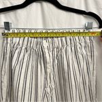 Brandy Melville John Galt Blue and White Striped Crop Pants OS Photo 5
