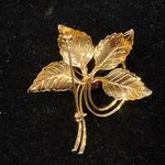 Vintage Gold Tone Amber Colored Berries Brooch Glower Photo 1