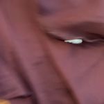 Free People intimately free lace bandeau vneck tank size m Photo 6