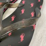 Polo sport logo flip flops sz 8 women Photo 1