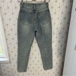 We Wore What  The Danielle Crystal Straight in Studio Photo 8