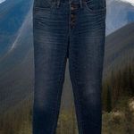Madewell NWOT 9" High Rise Skinny Jeans Stretch Blue Denim Raw Edge Hem Size 27 Photo 0